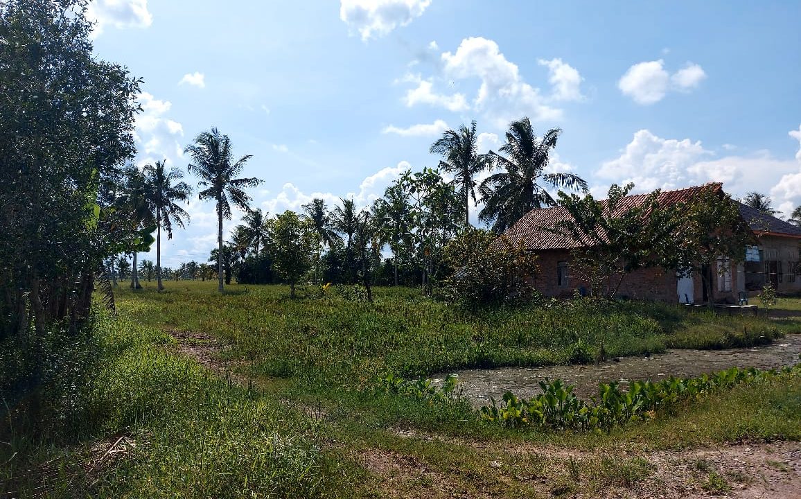 Tanah Bonus Rumah KTM Telang (8)