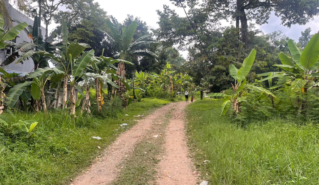 Tanah Kol H Burlian (12)