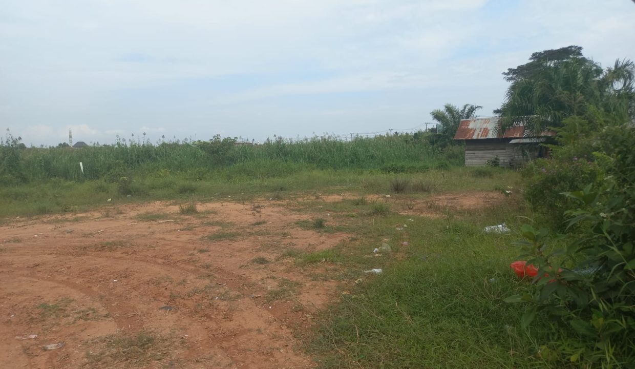 Tanah Simpang Bandara (7)