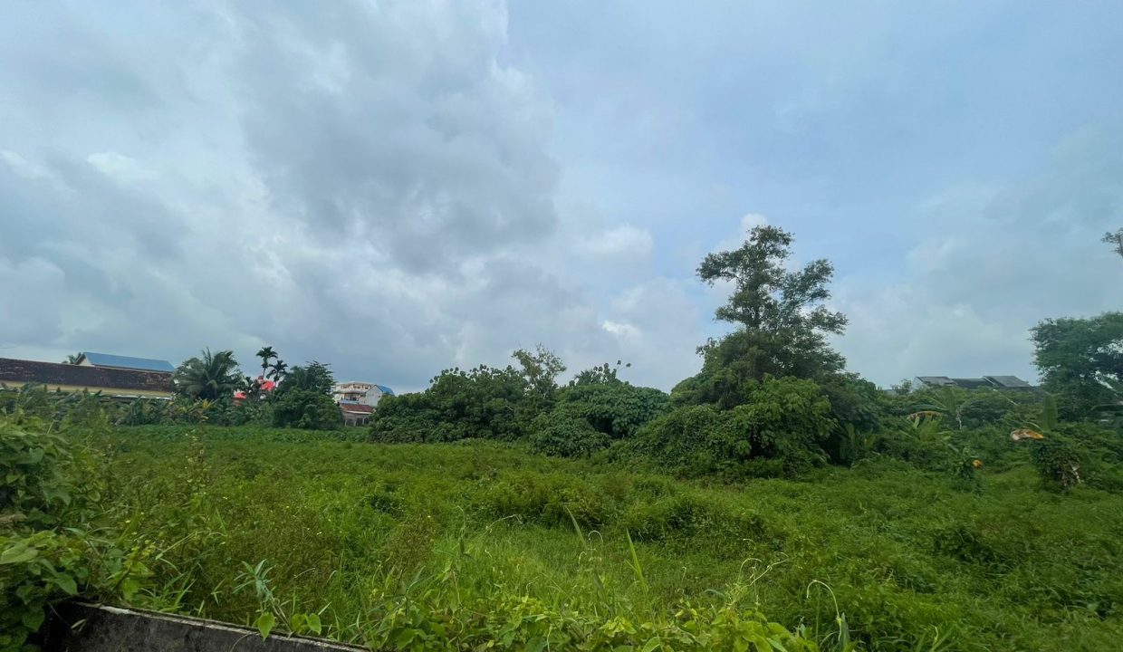 Tanah Soekarno Hatta (2)