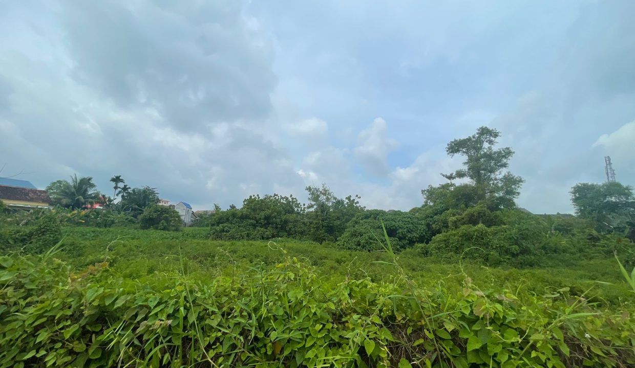 Tanah Soekarno Hatta (6)