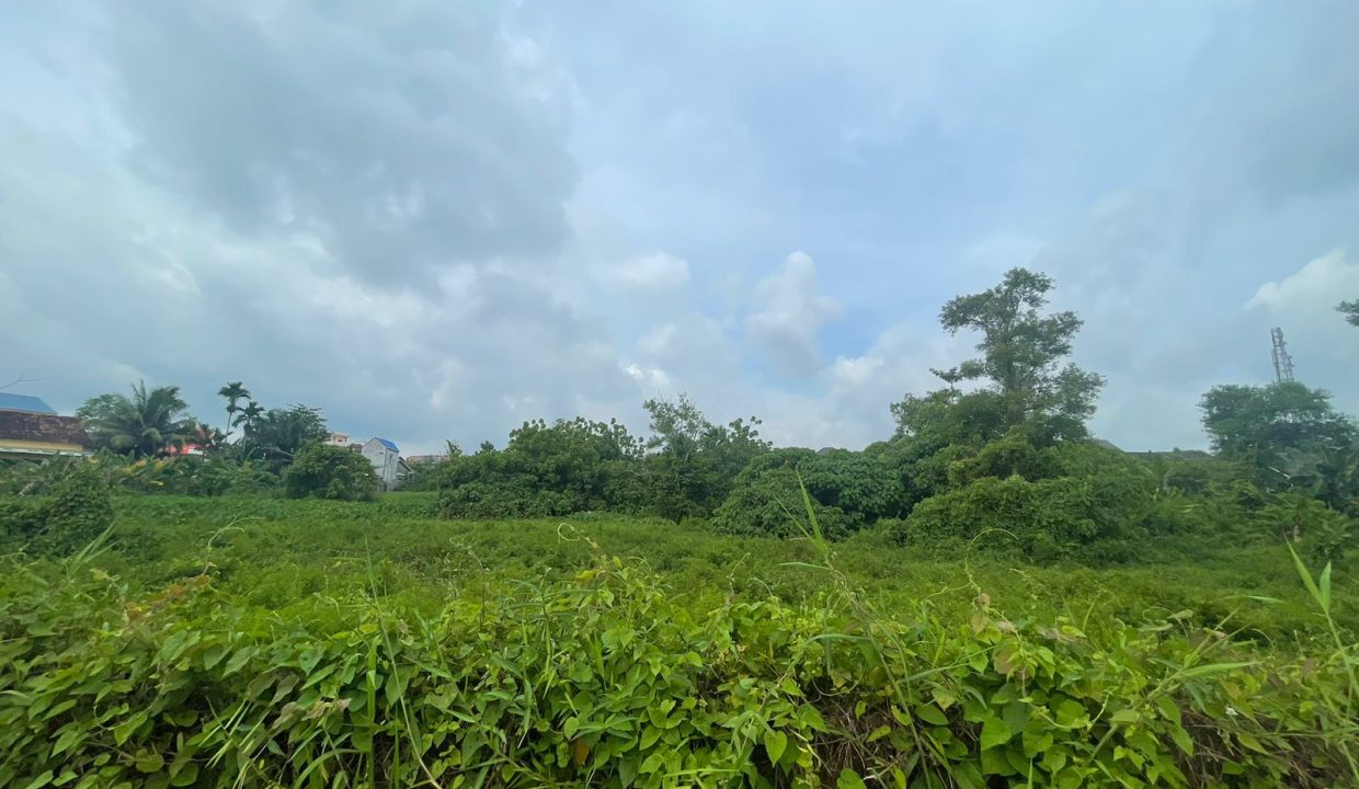 Tanah Soekarno Hatta (7)