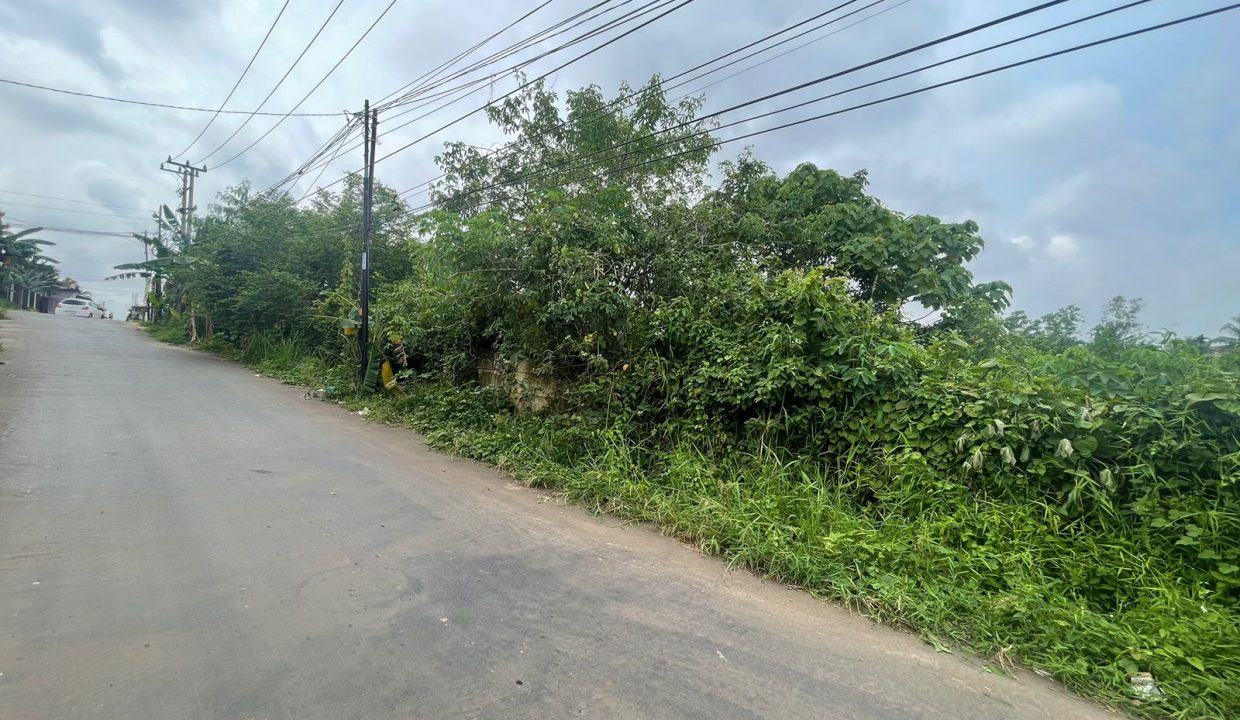 Tanah Soekarno Hatta (9)