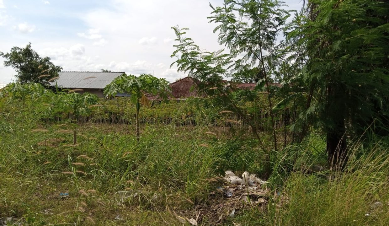 Tanah Sukamaju (4)