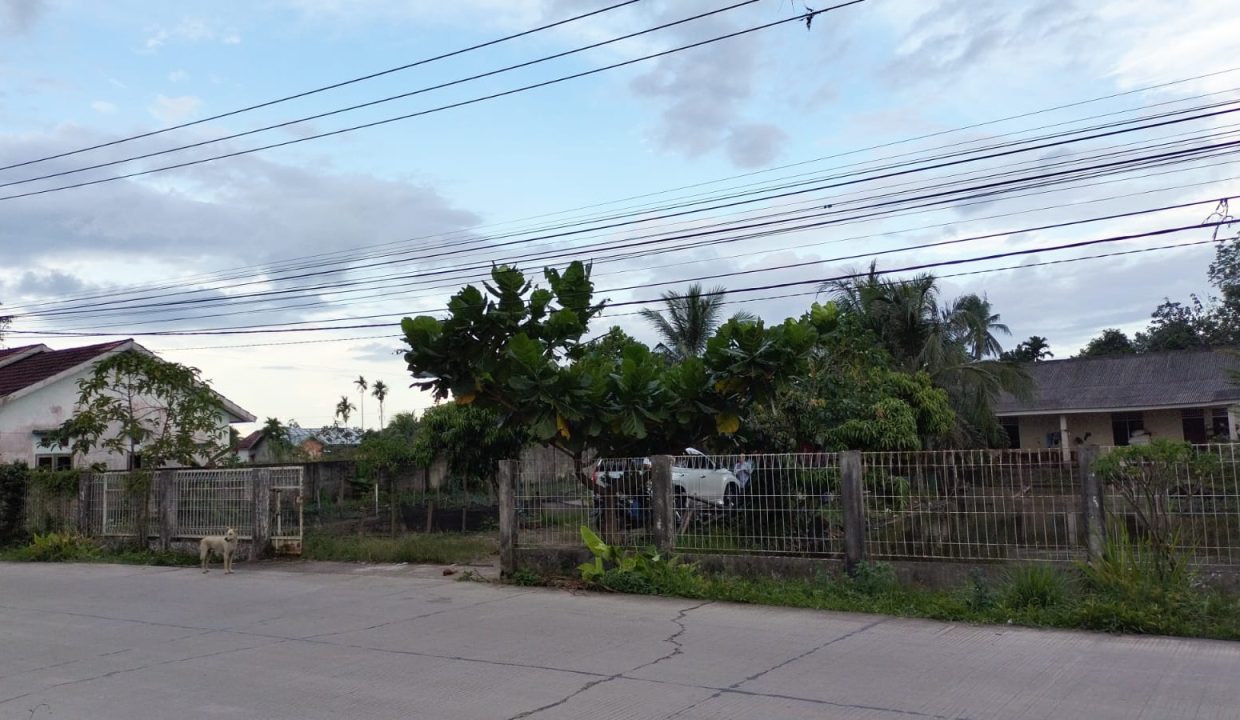 Tanah Jalan Perjuangan (3)