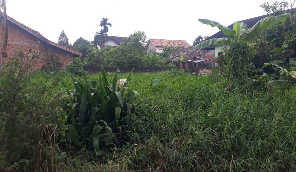 Tanah Jalan Ponorogo (1)