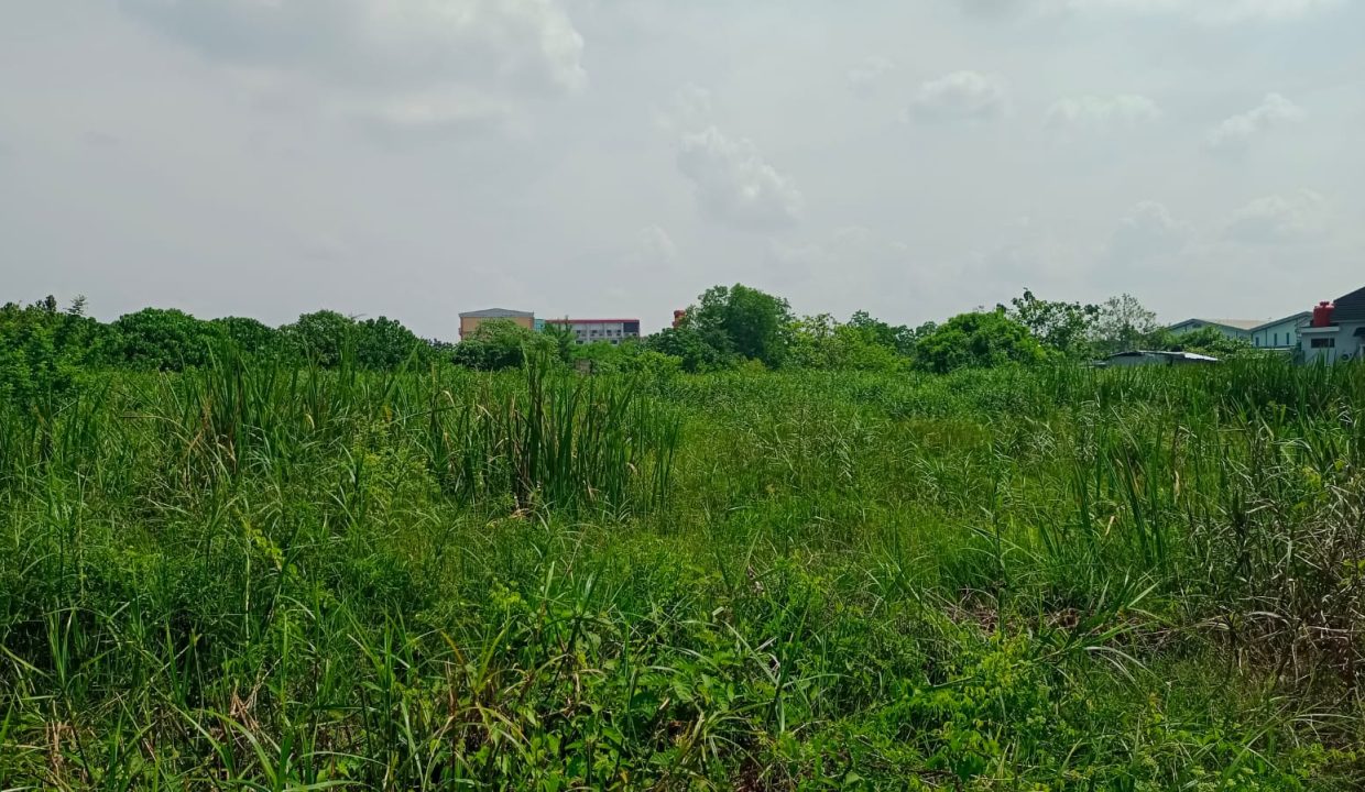 Tanah Macan Kumbang