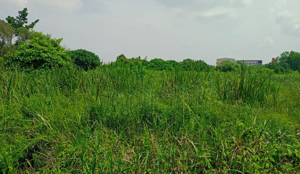 Tanah Macan Kumbang 2