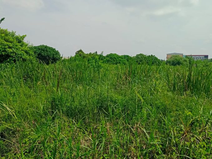 Dijual Tanah Kavlingan Macan Kumbang 18 Demang Lebar Daun Palembang