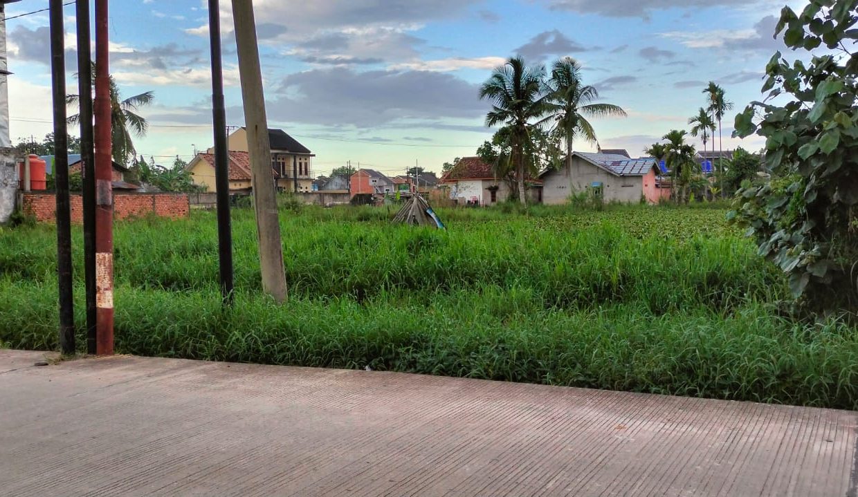 Tanah Noerdin Panji (2)