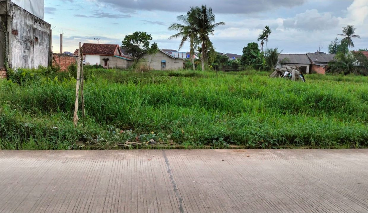 Tanah Noerdin Panji (3)