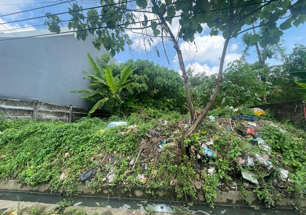 WhatsApp Image 2023-04-29 at 21.24.35