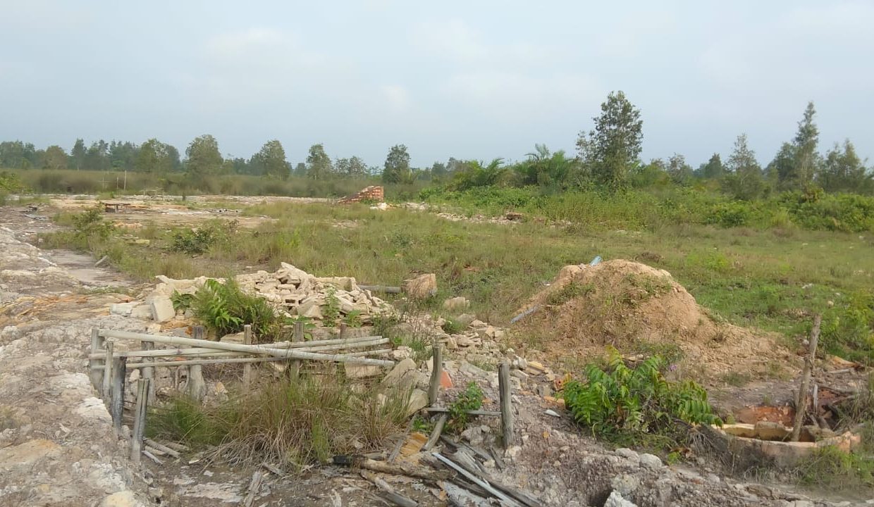 Tanah Sungai Rengit (2)