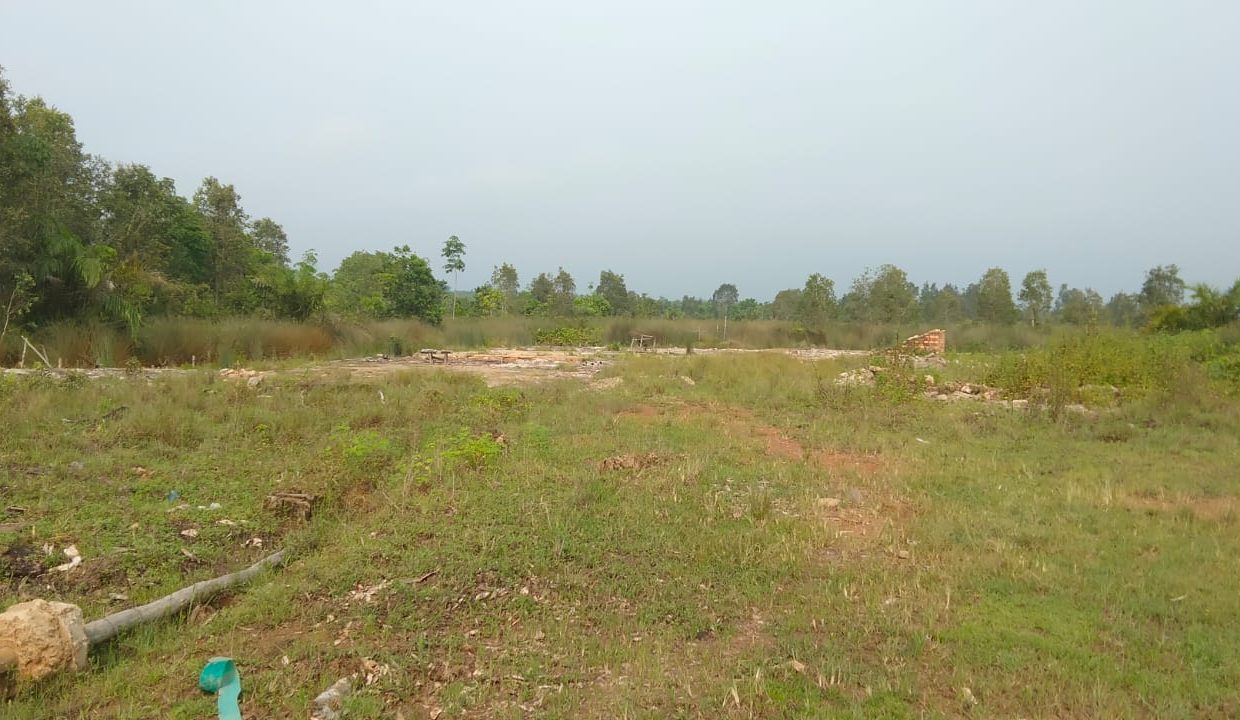 Tanah Sungai Rengit (4)