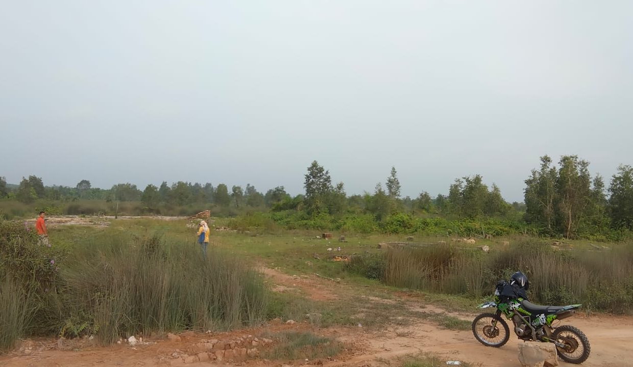 Tanah Sungai Rengit (7)