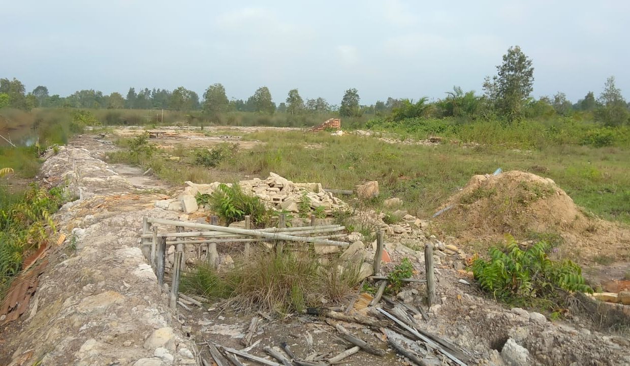 Tanah Sungai Rengit (9)