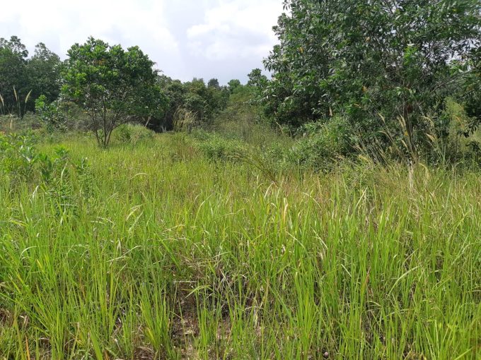 Dijual Tanah Kosong Jalan Meritai Kabupaten Banyuasin Jakabaring
