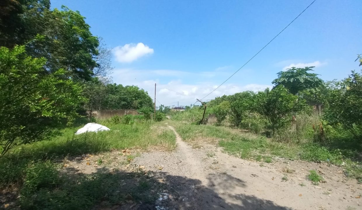 DIJUAL TANAH JALAN PALEMBANG INDRALAYA (5)