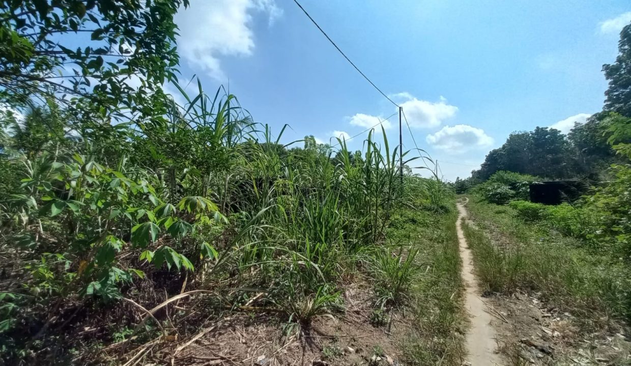 DIJUAL TANAH JALAN PALEMBANG INDRALAYA (6)