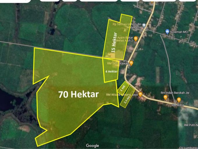 Dijual Tanah Perkebunan Jalan Lintas Sumatera (1)