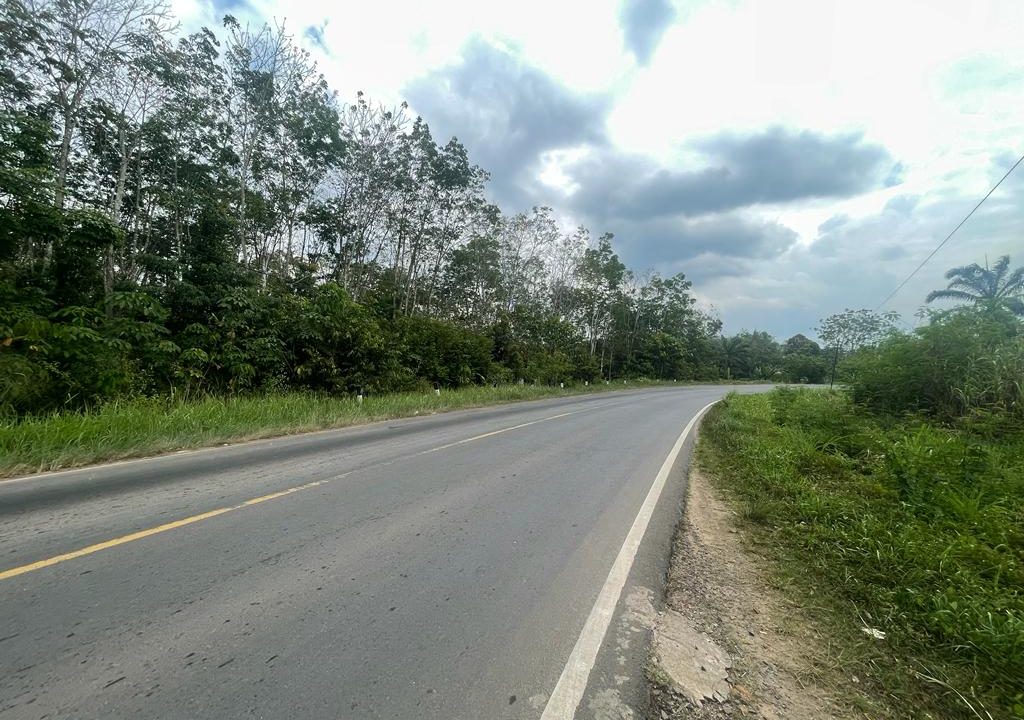 Dijual Tanah Perkebunan Jalan Lintas Sumatera (2)