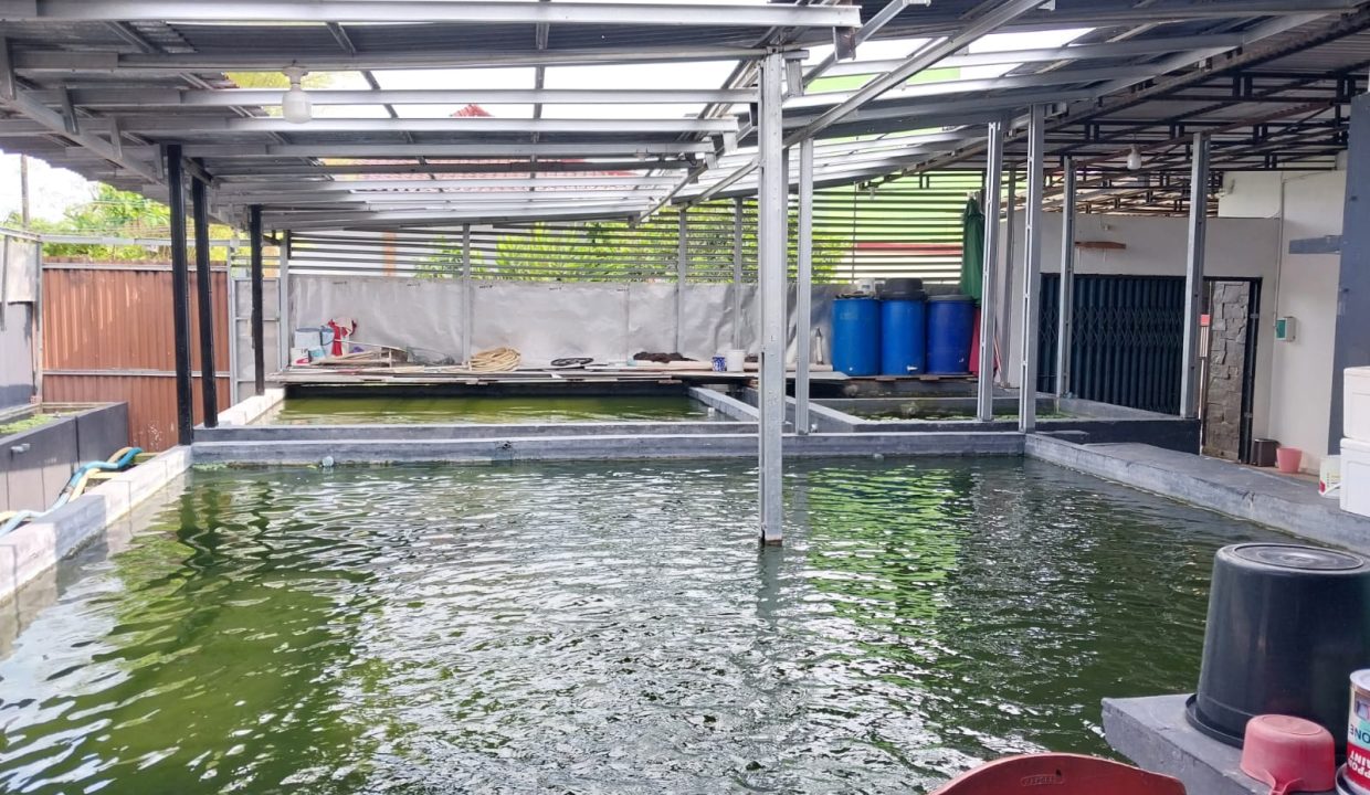Rumah Soak SImpur (9)