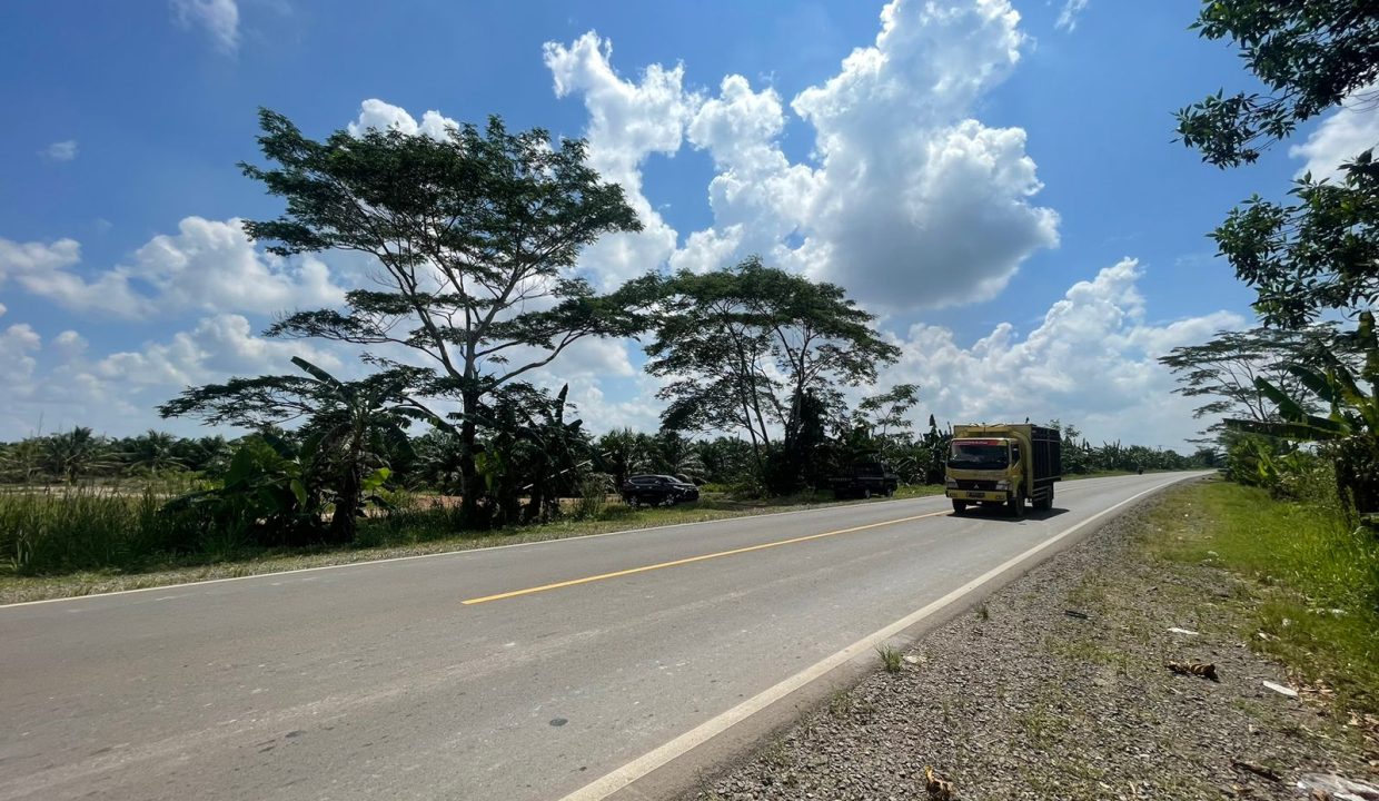 Tanah Tanjung Api APi (3)