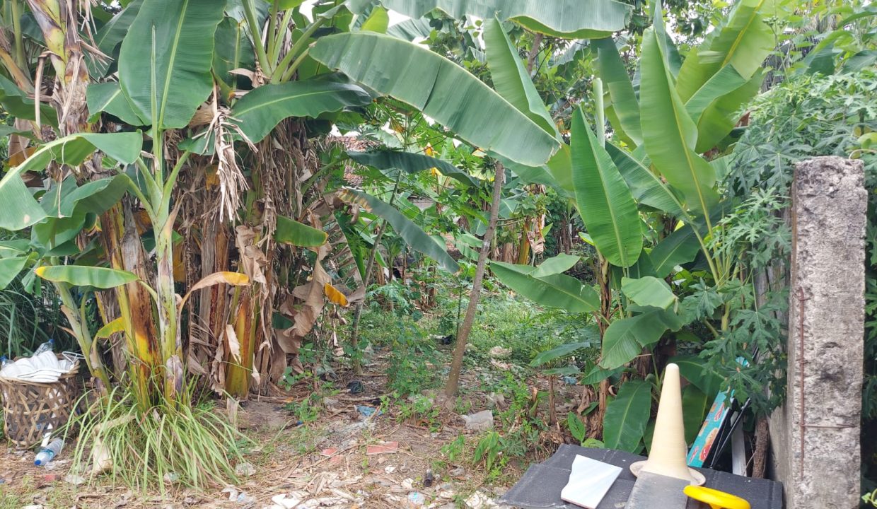 DIJUAL TANAH JALAN JEPANG ALANG ALANG LEBAR PALEMBANG (10)