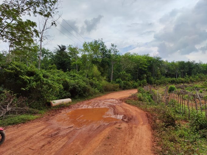 DIJUAL PERKEBUNAN KARET DAN SAWIT SEMBAWA BANYUASIN