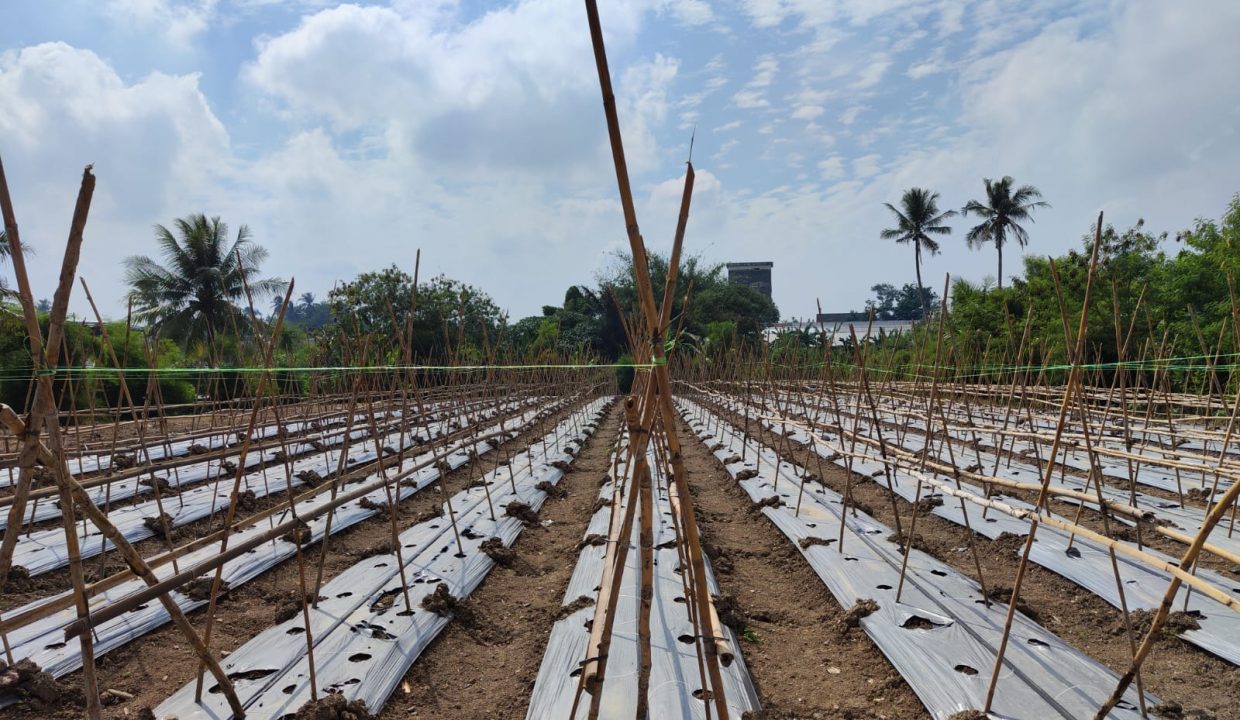 DIJUAL TANAH SOAK PERMAI KOLONEL H BURLIAN PALEMBANG (5)