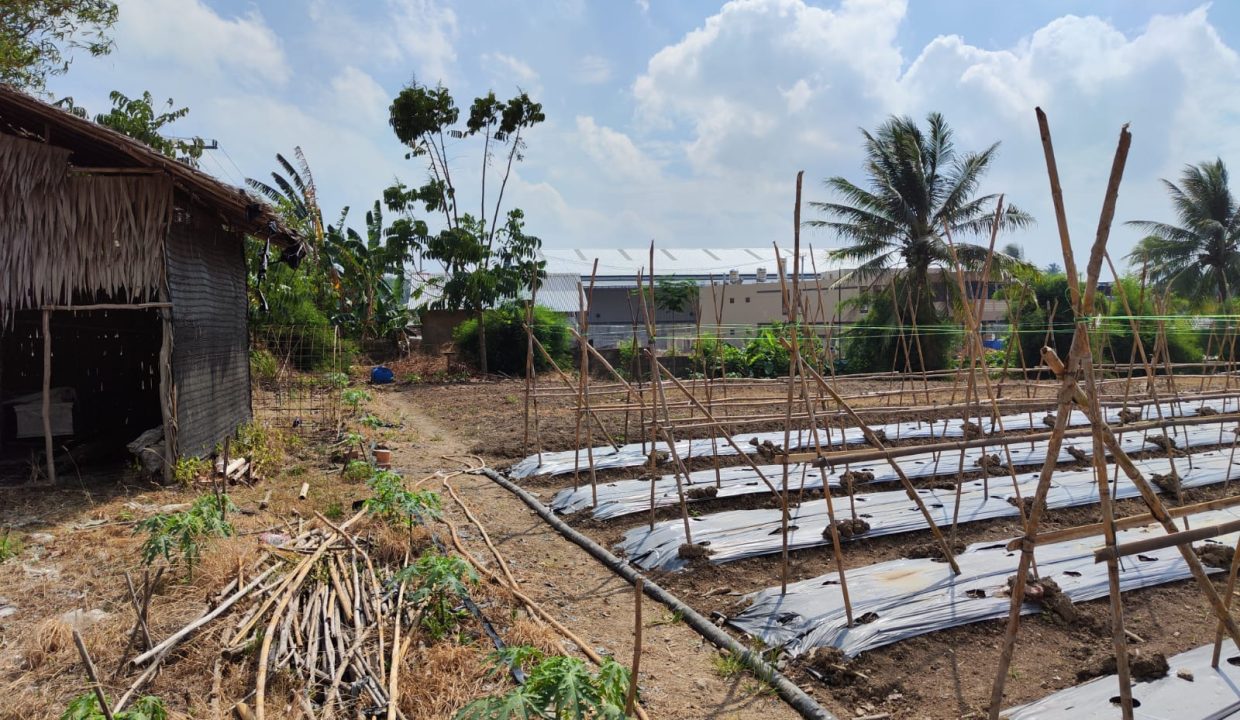 DIJUAL TANAH SOAK PERMAI KOLONEL H BURLIAN PALEMBANG (6)