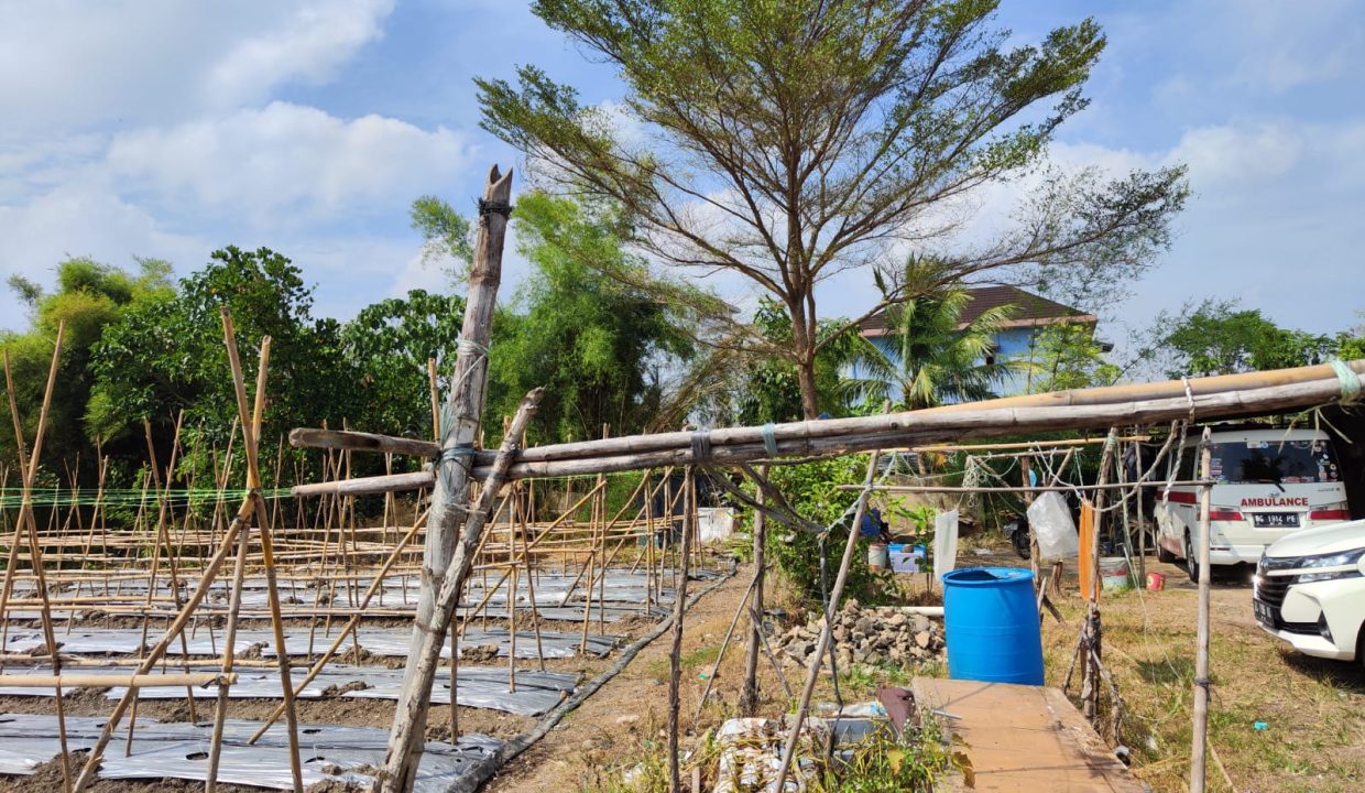 DIJUAL TANAH SOAK PERMAI KOLONEL H BURLIAN PALEMBANG (7)