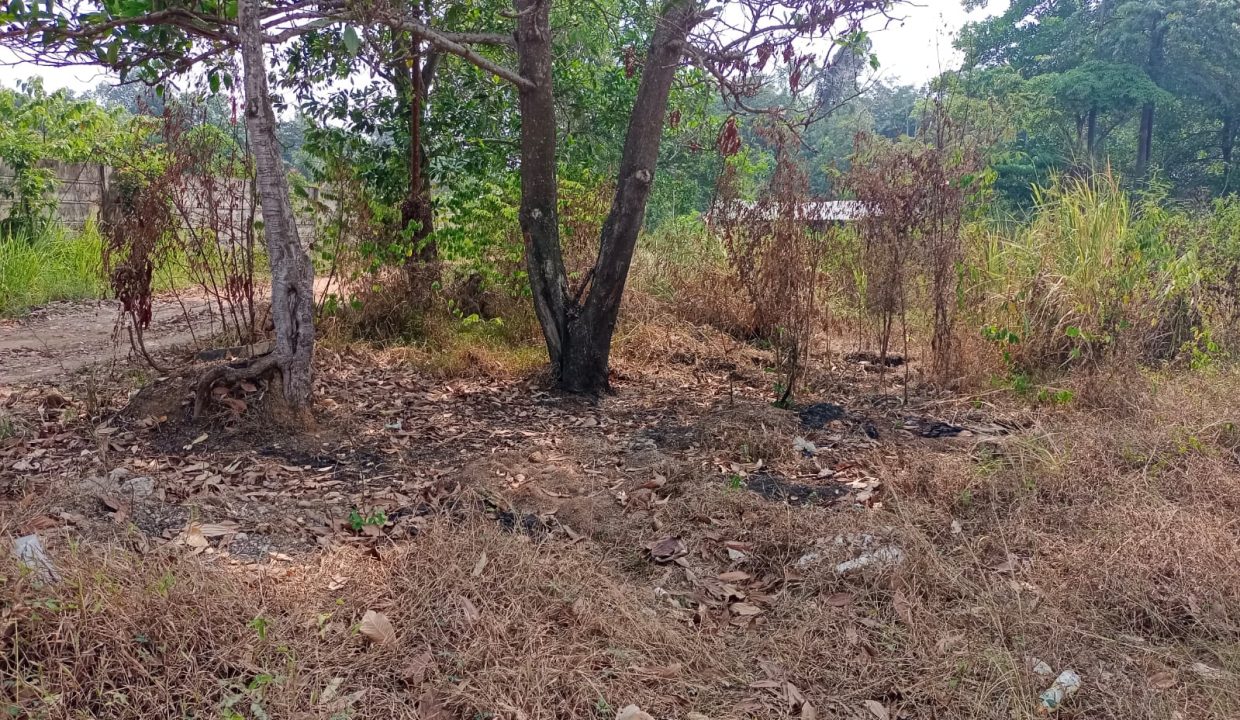 DIJUAL TANAH BYPASS ALANG ALANG LEBAR PALEMBANG (4)
