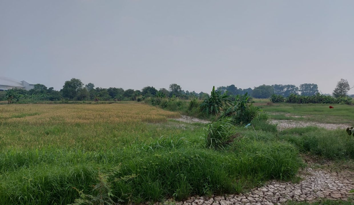 DIJUAL TANAH MURAH PEGAYUT PEMULUTAN PALEMBANG (1)