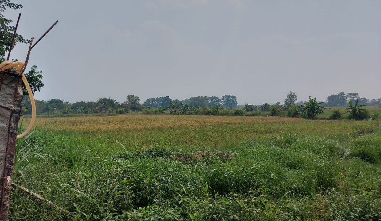 DIJUAL TANAH MURAH PEGAYUT PEMULUTAN PALEMBANG (1,0)