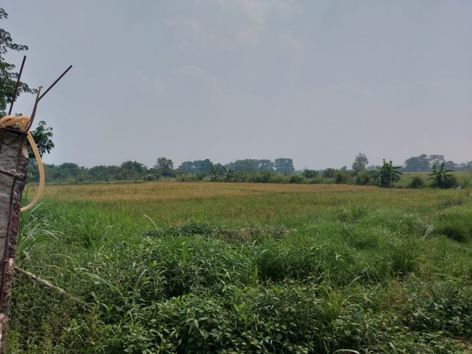 DIJUAL TANAH MURAH PEGAYUT PEMULUTAN PALEMBANG (1)