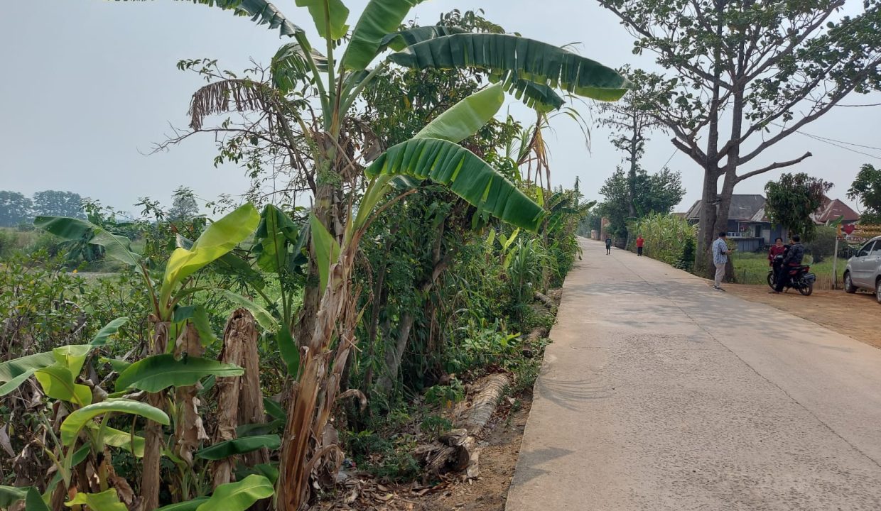 DIJUAL TANAH MURAH PEGAYUT PEMULUTAN PALEMBANG (11)