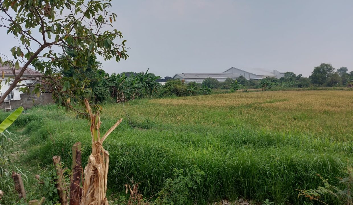 DIJUAL TANAH MURAH PEGAYUT PEMULUTAN PALEMBANG (1,2)