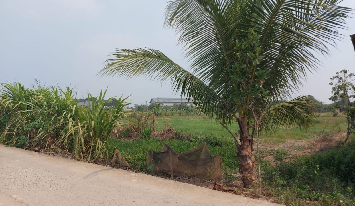 DIJUAL TANAH MURAH PEGAYUT PEMULUTAN PALEMBANG (2)