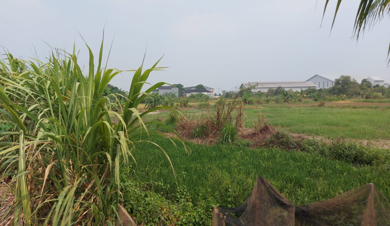 DIJUAL TANAH MURAH PEGAYUT PEMULUTAN PALEMBANG (3)