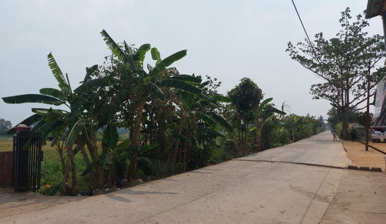 DIJUAL TANAH MURAH PEGAYUT PEMULUTAN PALEMBANG (4)