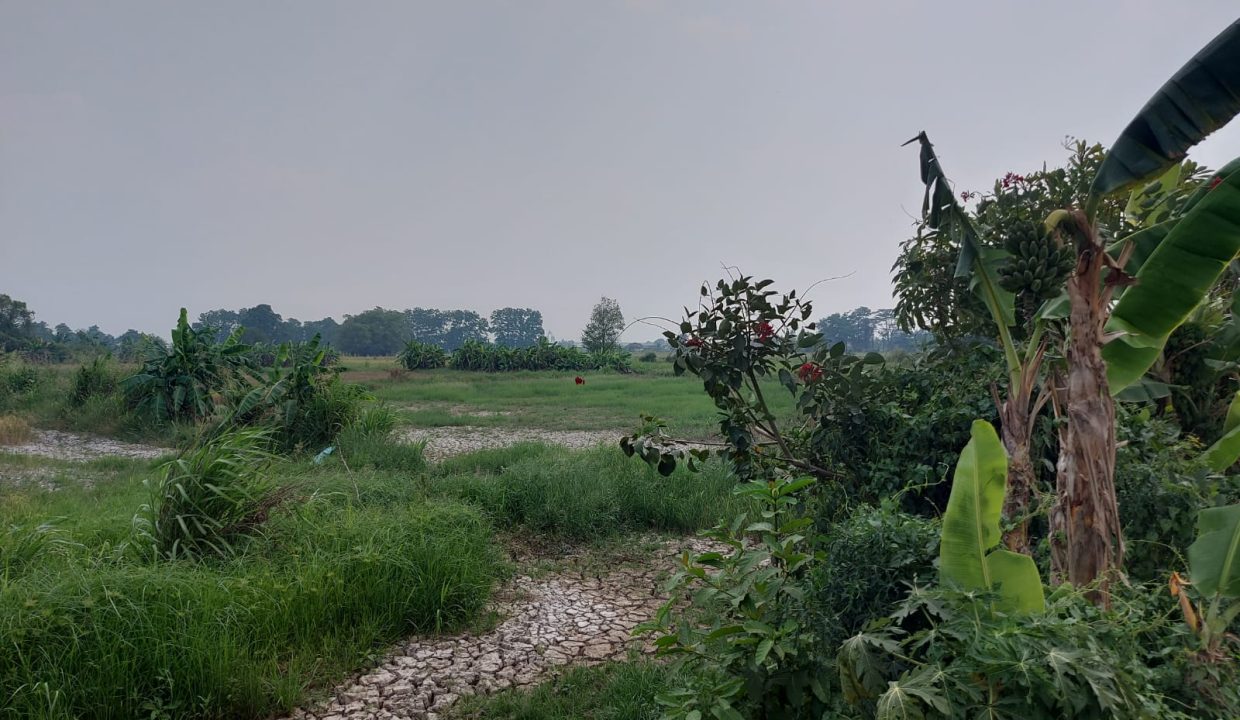 DIJUAL TANAH MURAH PEGAYUT PEMULUTAN PALEMBANG (5)