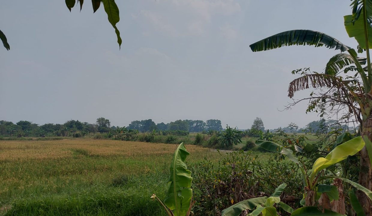 DIJUAL TANAH MURAH PEGAYUT PEMULUTAN PALEMBANG (7)