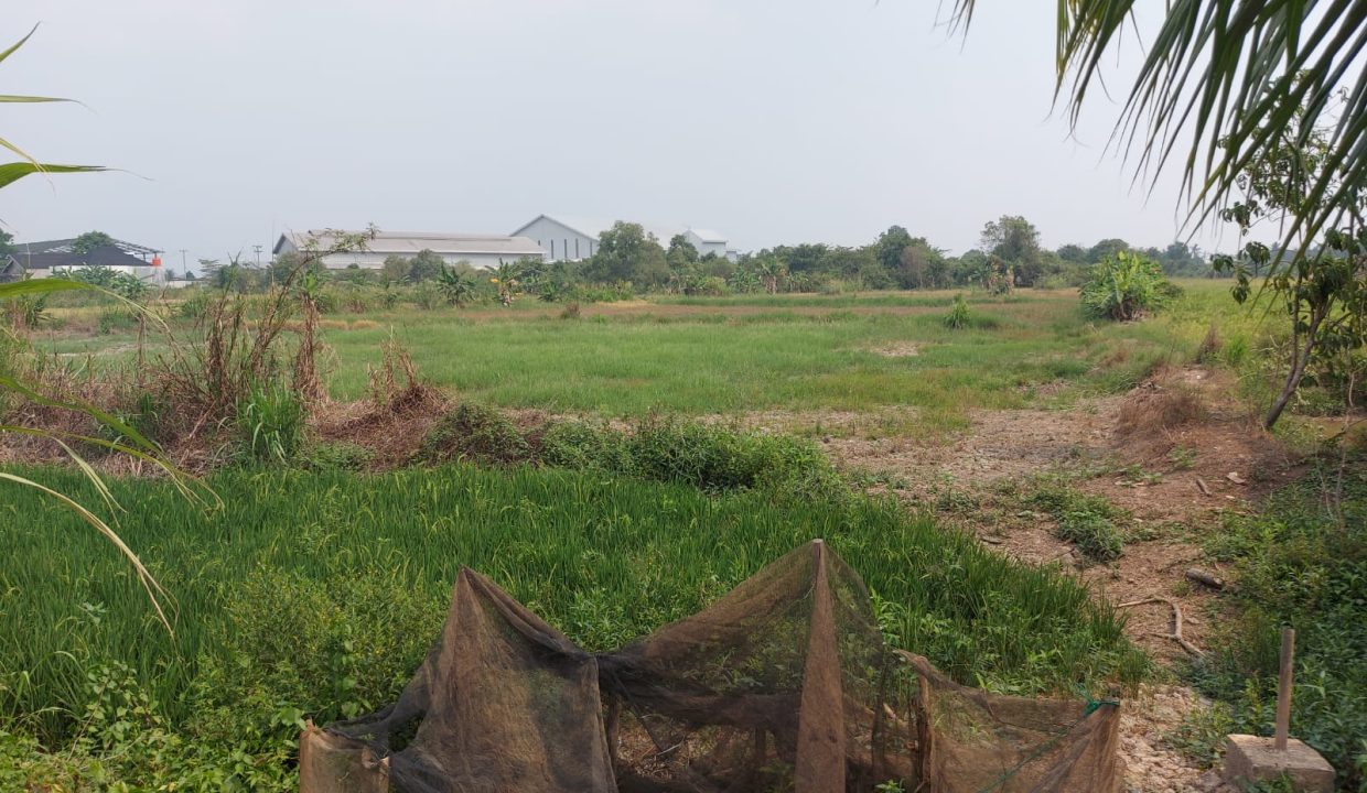 DIJUAL TANAH MURAH PEGAYUT PEMULUTAN PALEMBANG (8)
