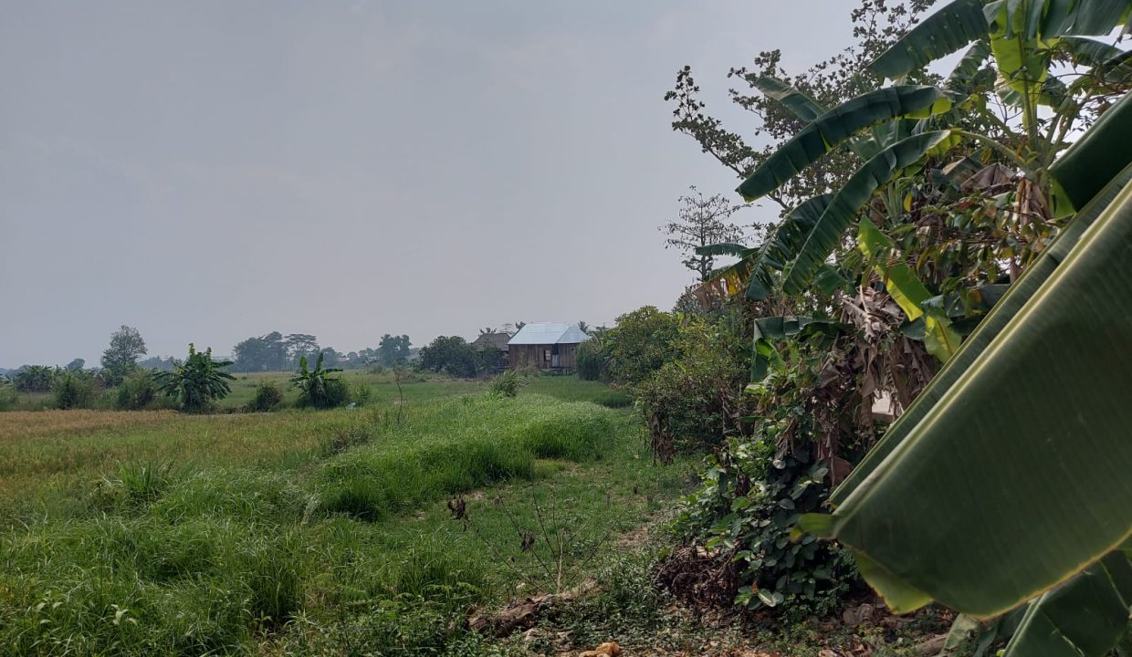 DIJUAL TANAH MURAH PEGAYUT PEMULUTAN PALEMBANG (9)