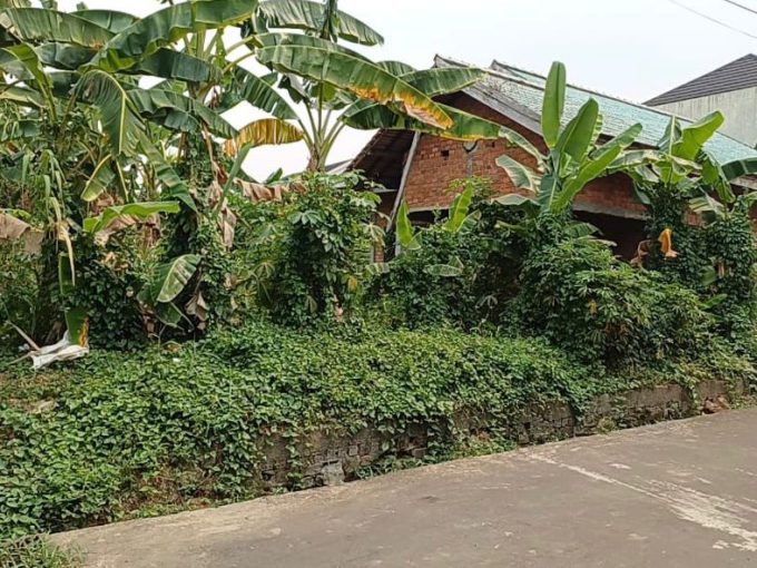 DIJUAL CEPAT TANAH MURAH DI SEKOJO PALEMBANG