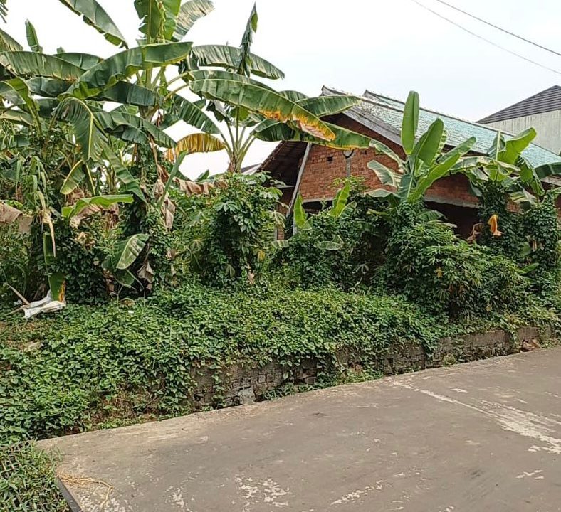 DIJUAL TANA MURAH JALAN SEKOJO PALEMBANG (2)