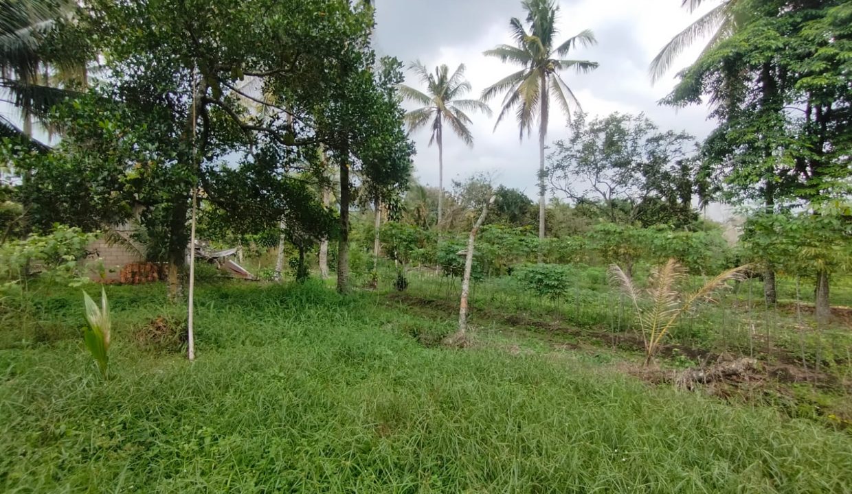 DIJUAL TANAH KM 17 SAPING PABRIK ALE ALE TALANG KELAPA (1)
