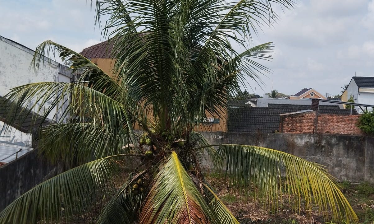 DIJUAL RUMAH PLUS TANAH JALAN RW MONGONSIDI PALEMBANG (9)