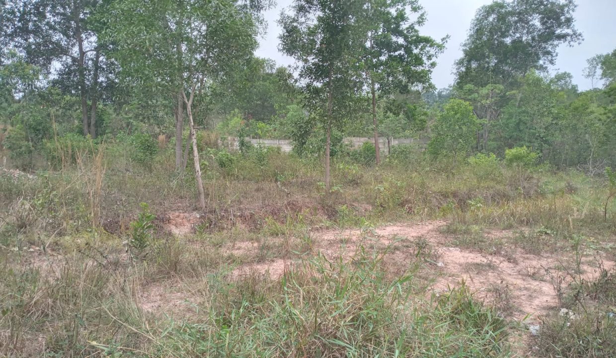 DIJUAL TANAH MURAH TALANG BURUK KM 7 PALEMBANG (1)